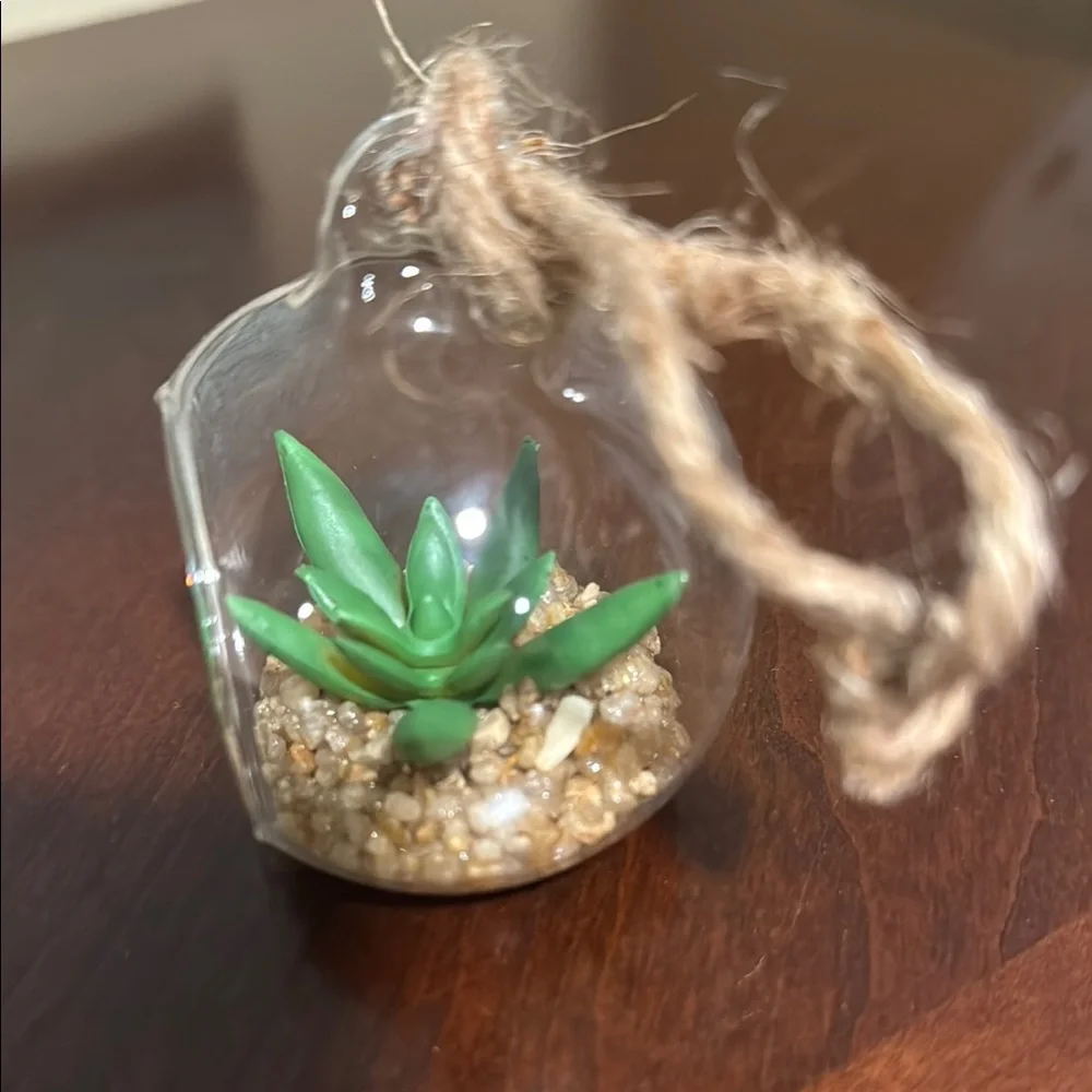 Glass Hanging Terrarium with Faux Succulent